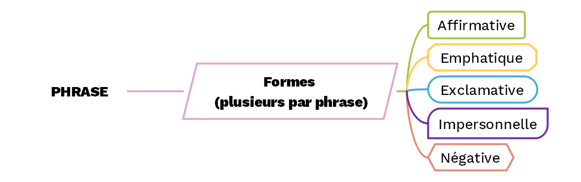 Les formes de phrase - © cours2français.net