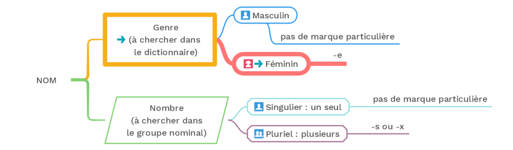 orthographe des adjectifs
