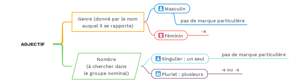 Accord des adjectifs de couleur - © cours2français.net
