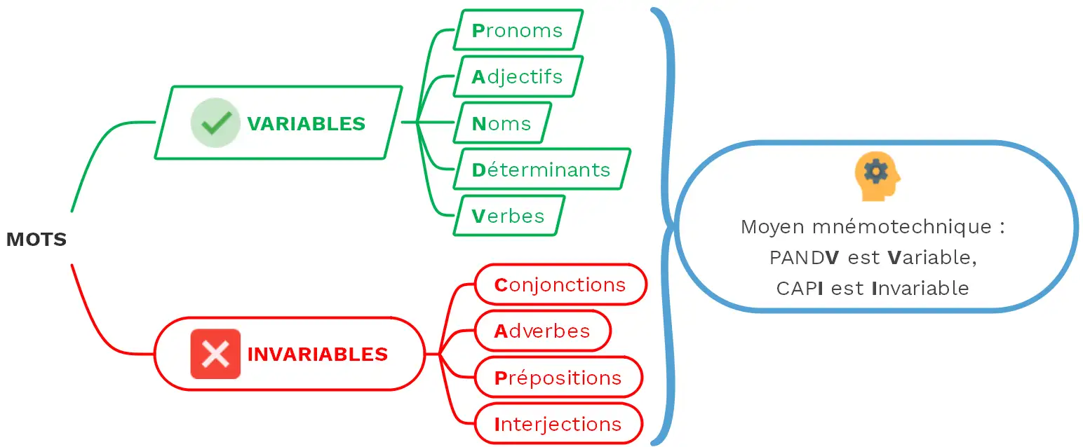 Les classes grammaticales - (c) cours2français.net