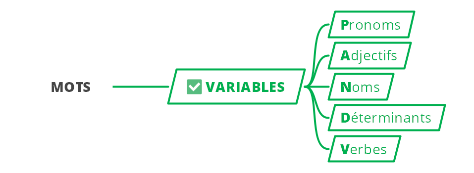 Les mots variables - (c) cours2français.net