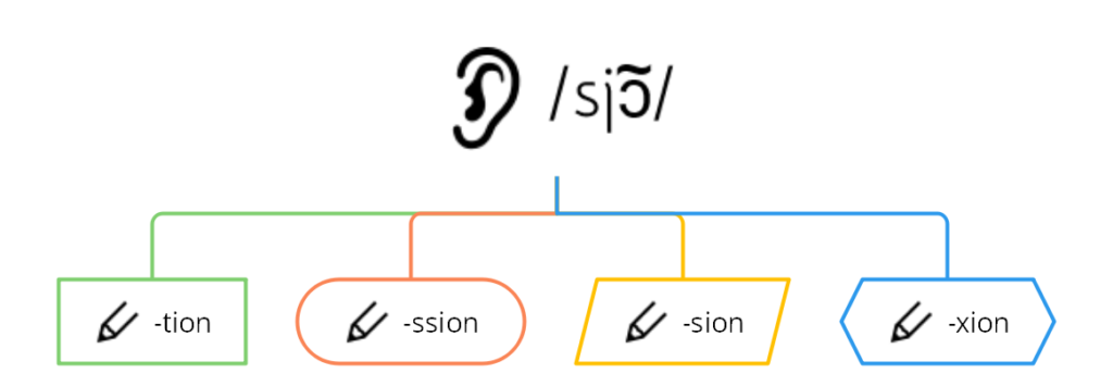 Les mots en tion - (c) cours2français.net