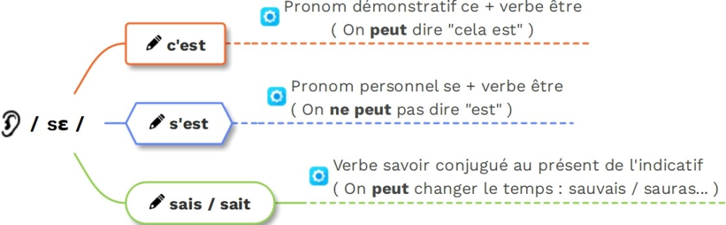 s'est ou c'est : distinguer les homophones - © cours2français.net