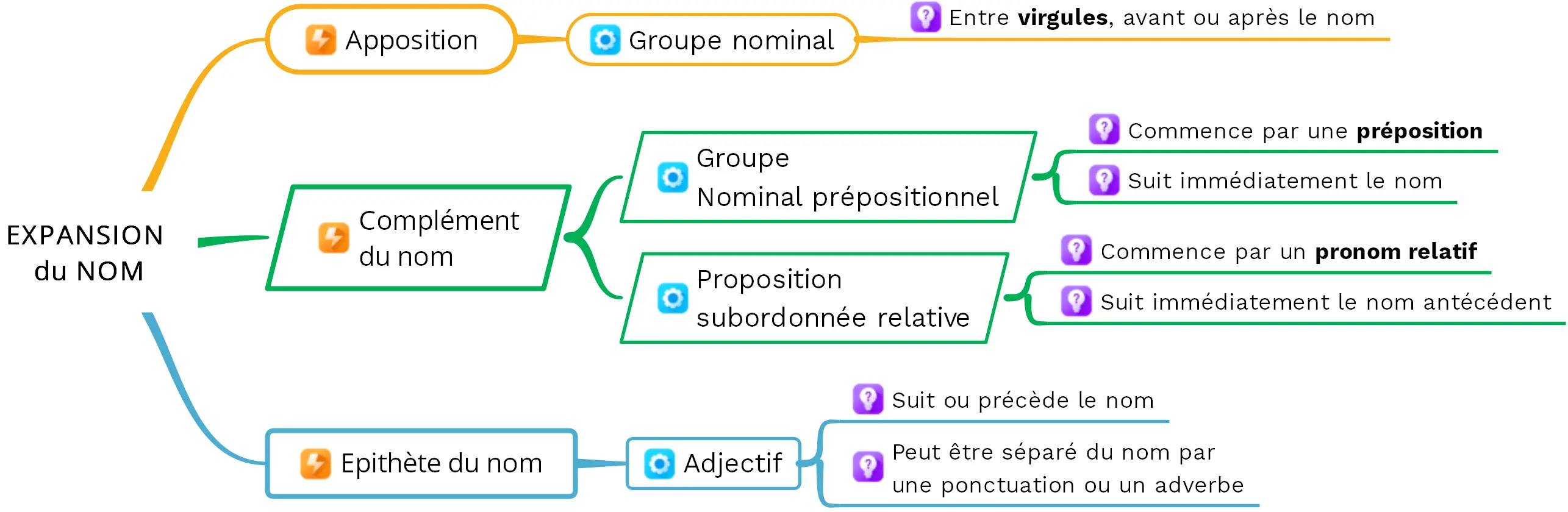 Les expansions du nom - (c) cours2français.net