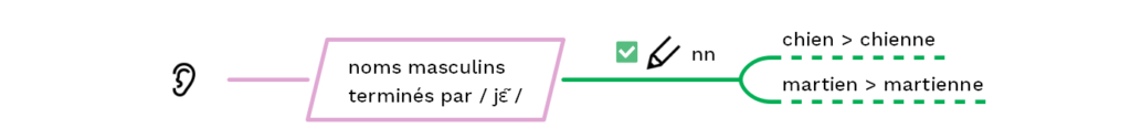 Consonnes doubles en fin de mot : mots terminés par / jɛ̃ / - cours2français.net