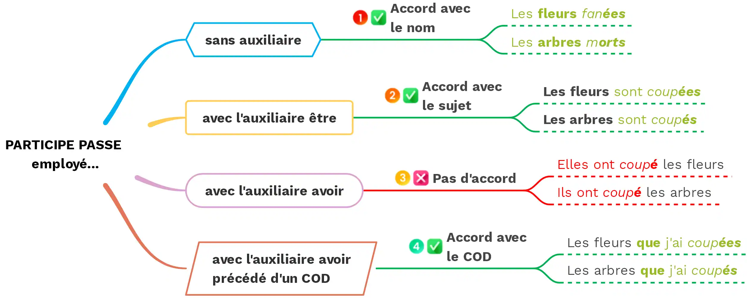 Les accords du participe passé - (c) cours2français.net