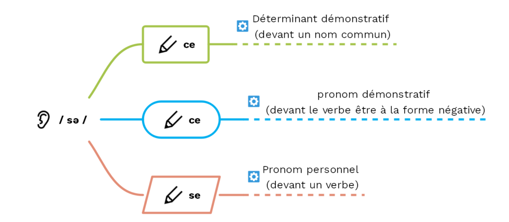 se ou ce ? Les homophones - (c) cours2français.net