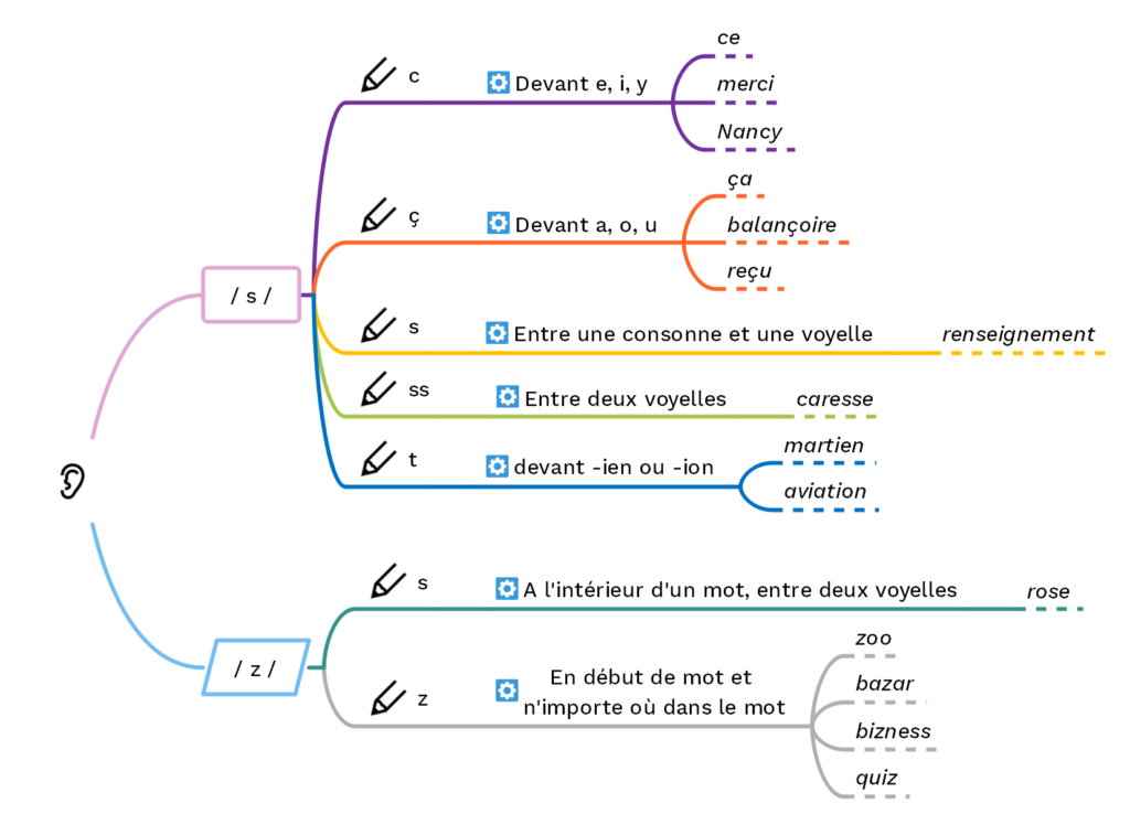 Les sons s et z - © cours2français.net