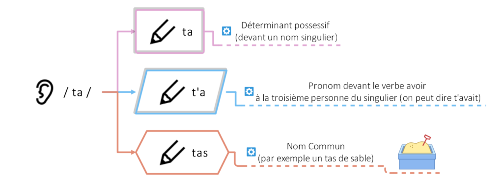 ta, t'a, tas : les homophones (c) cours2français.net