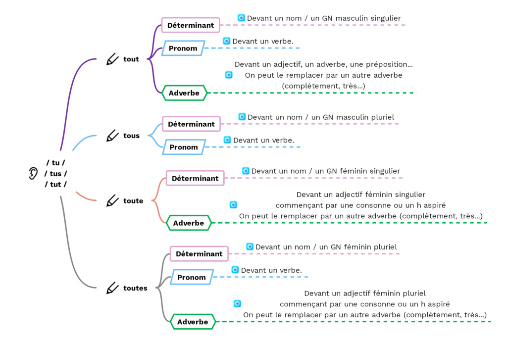 Tout, tous, toute, toutes : les homophones - (c) cours2français.net